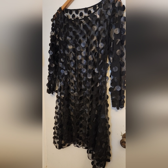 Sheer Black Polka Dot Long Sleeve Dress - Picture 3 of 3